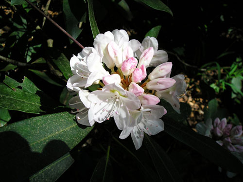 P6230095[1]