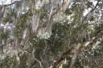 _MG_2663c