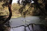 _MG_2671c