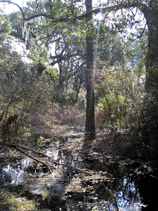 P2170244c