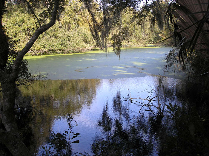 P2180329c